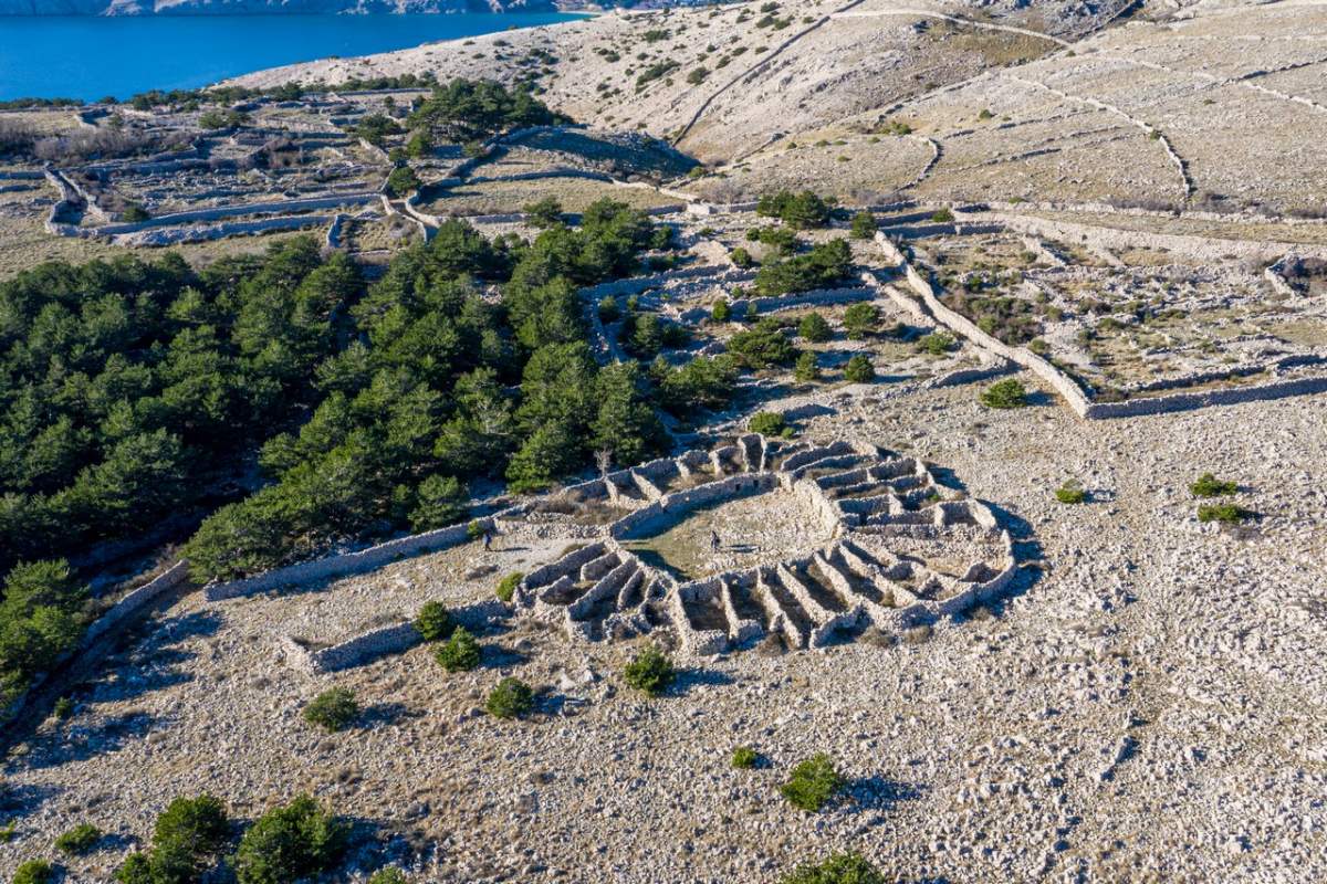 Baškas mrgari